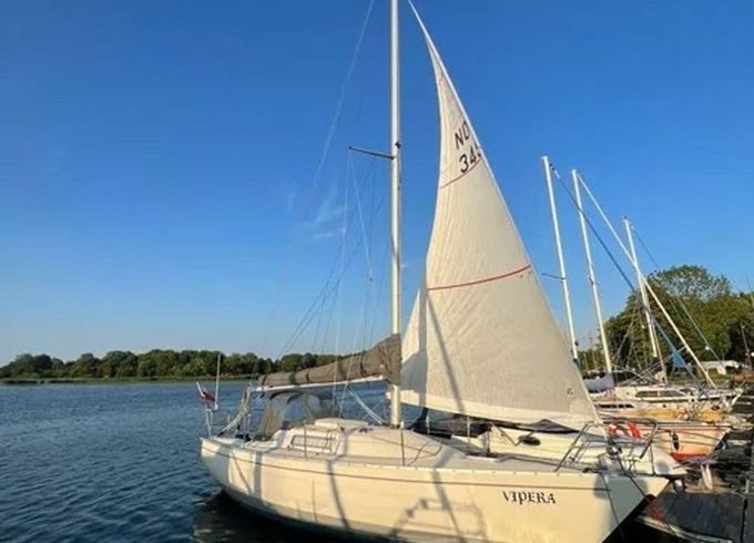 Albin 28 Vipera