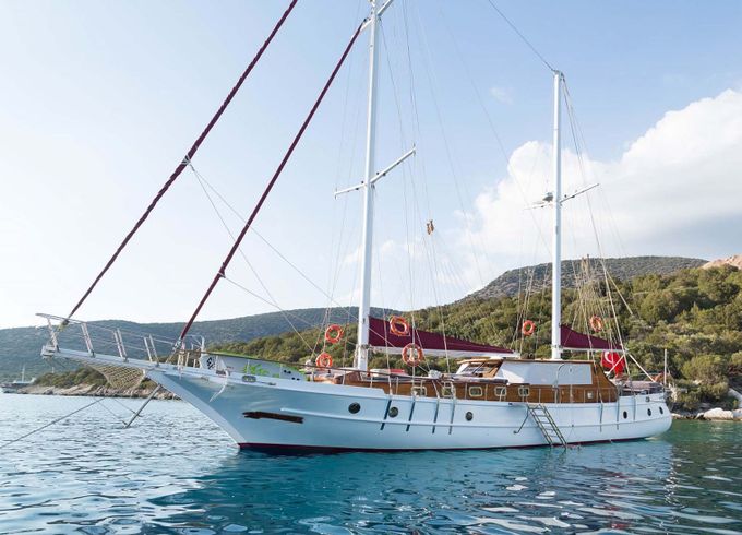 Ark Yachts 14 Primadonna