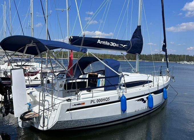 Antila 30 Eagle 3
