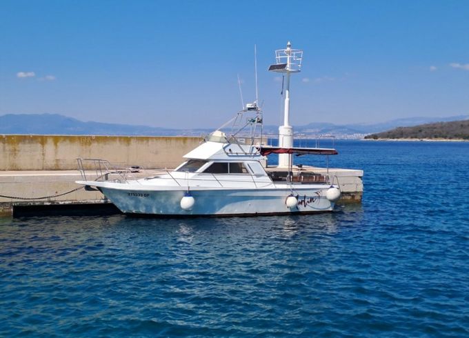 Arcoa 1080 Marlin 2