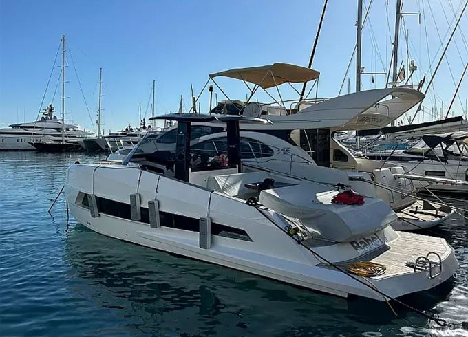 Astondoa 377 Pfeffer