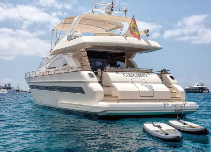 Astondoa 72 Gecko