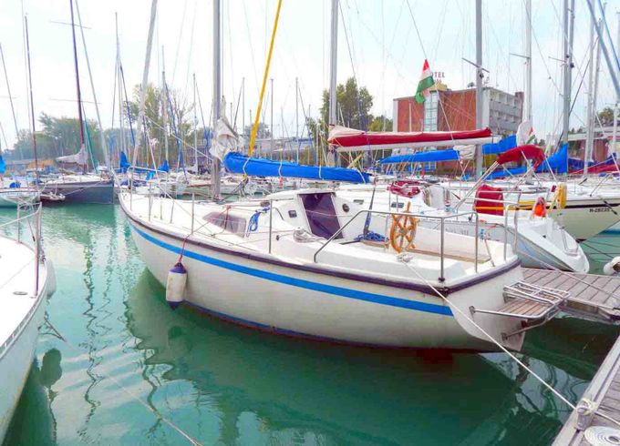 Balaton 31 Tyrannos