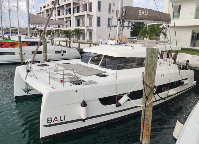 Bali Catspace Purrseverance