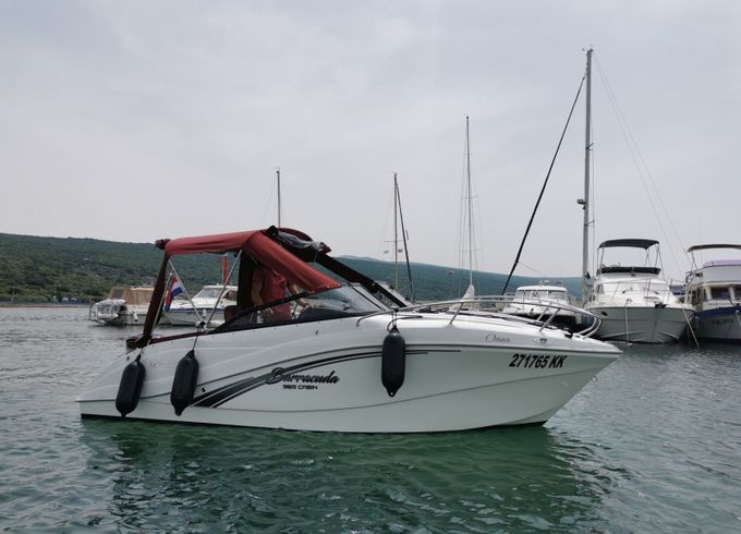 Barracuda 585 17