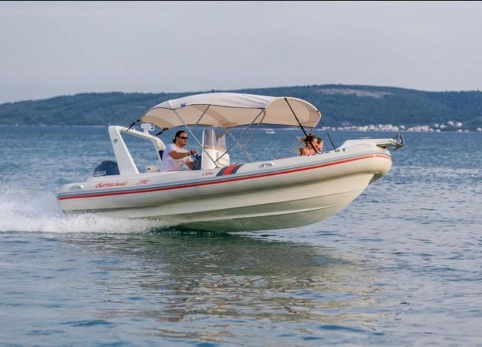 Barracuda 590 Barracuda