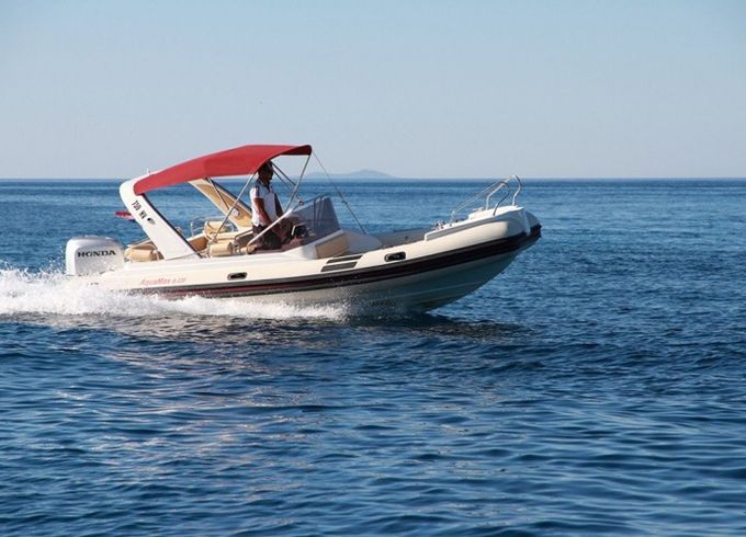 Barracuda 730 Barracuda