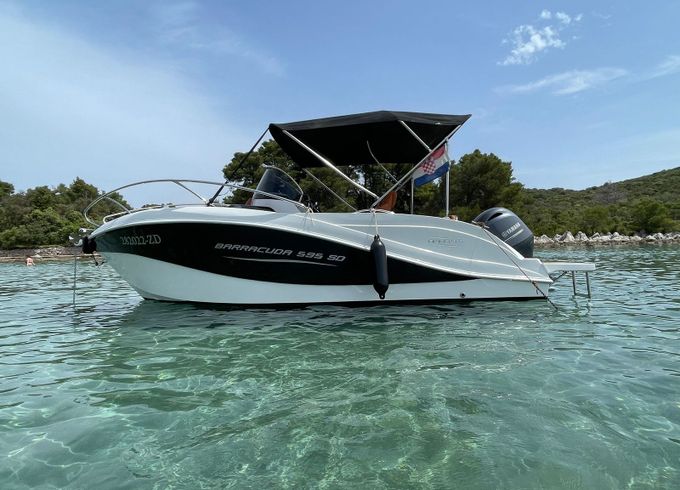 Barracuda 595 Muka