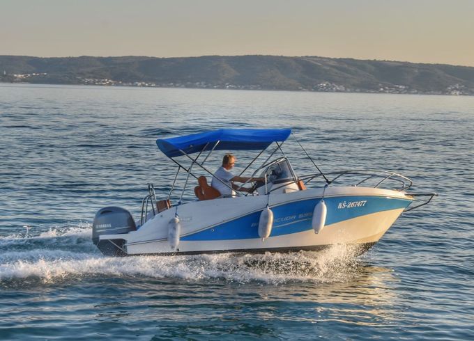 Barracuda 595 Barracuda