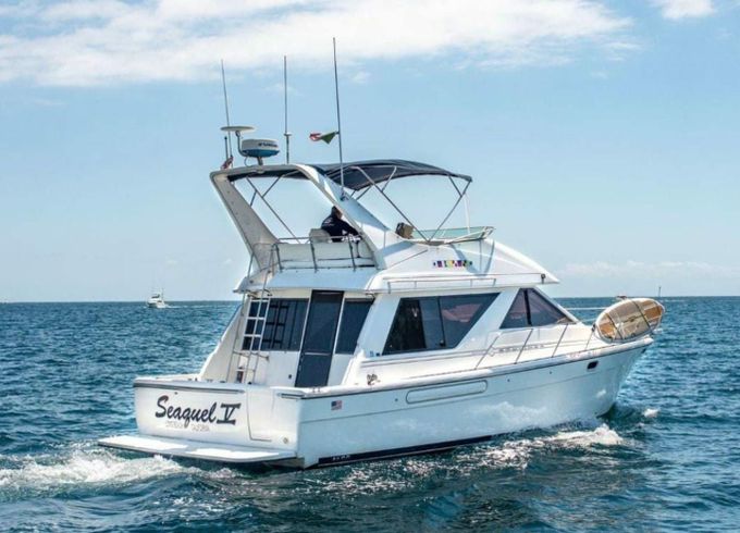 Bayliner 3988 Seaquel 5