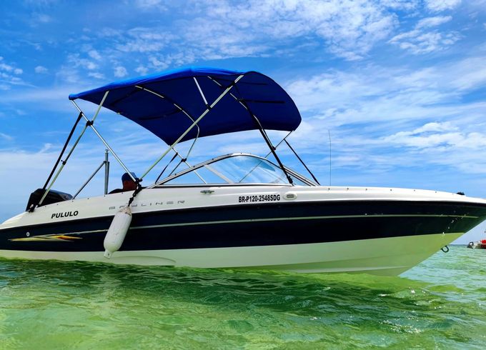 Bayliner 185 Pululo