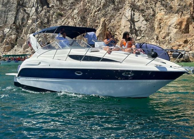 Bayliner 305 Bee Rich