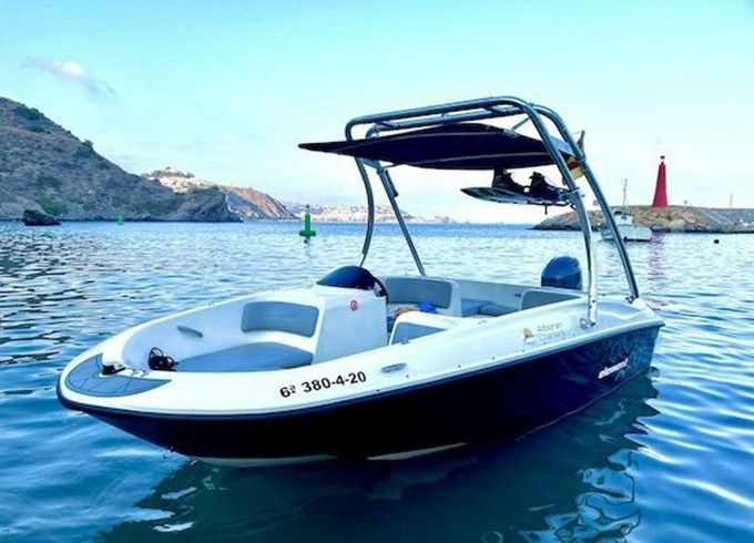 Bayliner E5 20