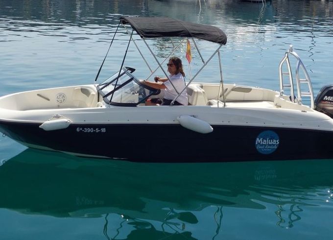 Bayliner Element Maluas 1.0