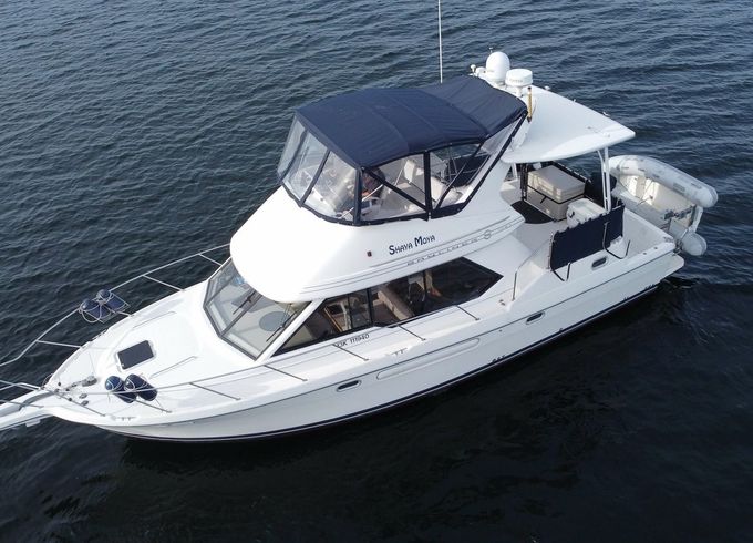 Bayliner 4087 Shaya Moya