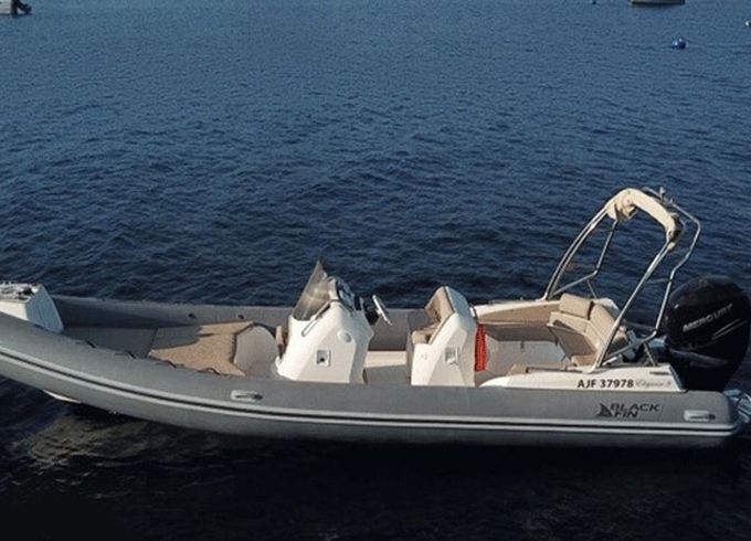 Black Fin Elegance 8 20