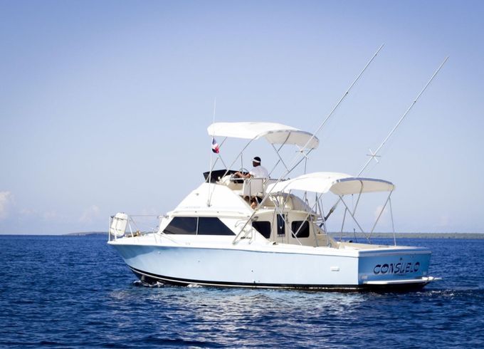 Bertram 28 Flybridge Consuelo