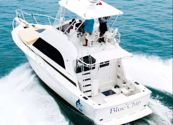 Bertram 35 Blue Chip