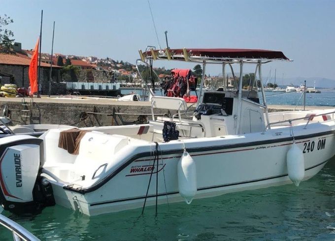 Boston Whaler 26 Outrage Outrage