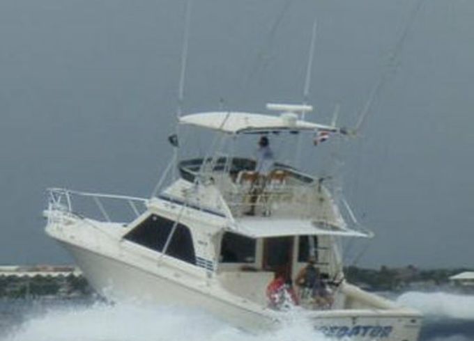 Black Fin 38 Predator