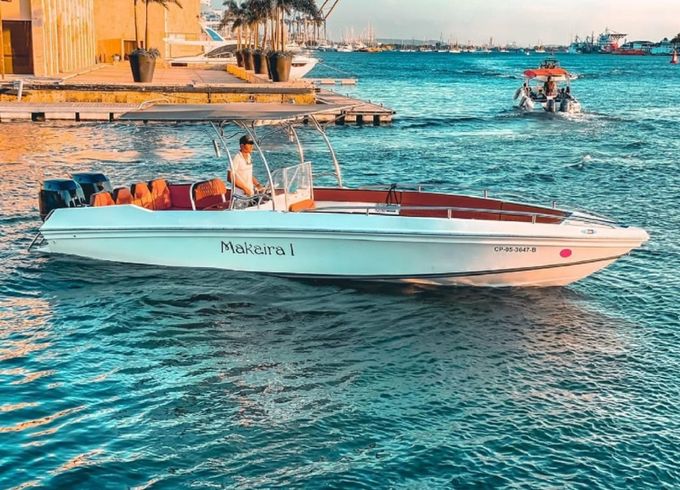 Bravo 290 Makaira 1