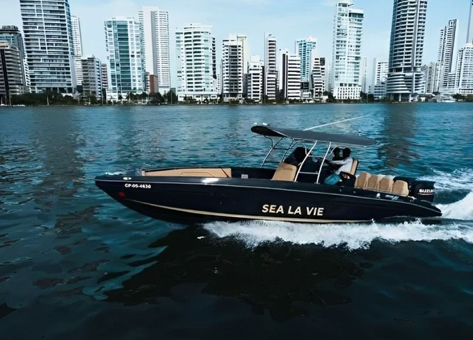 Bravo 290 Sea La Vie