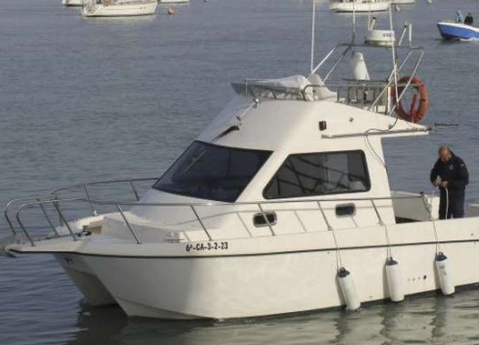 Cata 286 Albarcocom