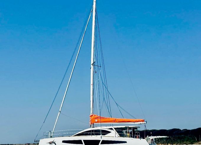 C Cat 37 Amuni