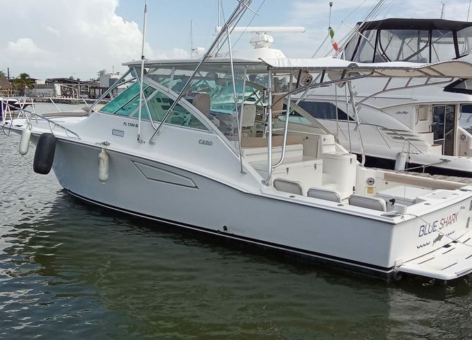 Cabo 40 Blue Shark