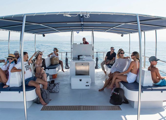 Catmarine 39 Euphoria