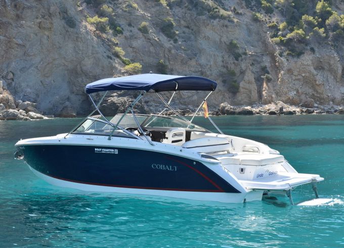 Cobalt 220 Watermelon