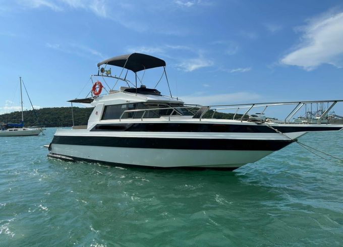 Cobra Yachts 39 Weboat 3
