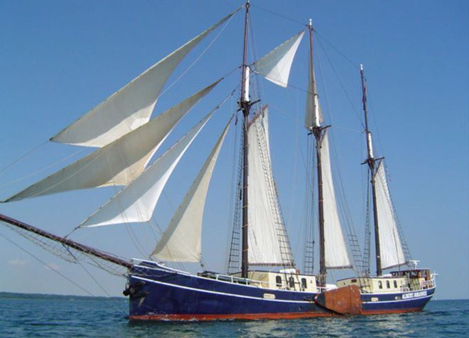 Custom Built 151 Albert Johannes