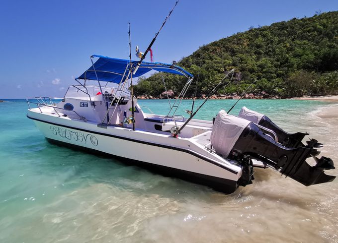 Custom Built 28 Delfino