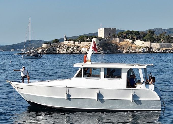 Custom Built 39 Albatross