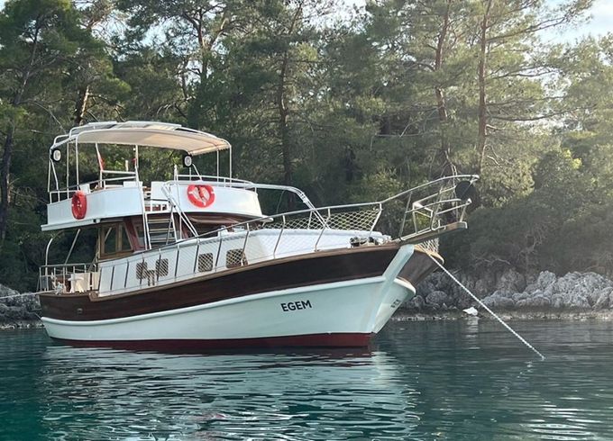 Custom Built 39 Egem