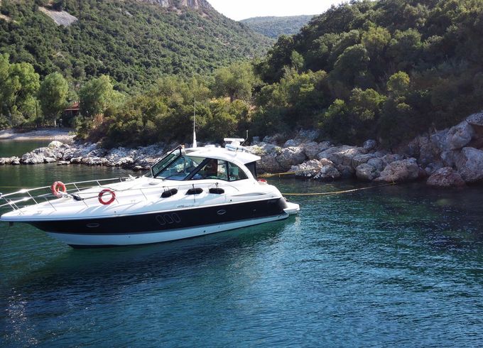 Cruiser Yachts Cantius 45 Themis 4