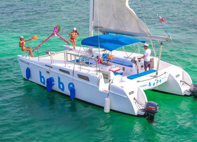 Custom Built 32 Cat Pause 3