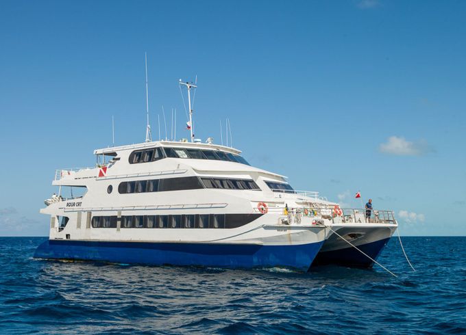 Custom Built 102 Aqua Cat
