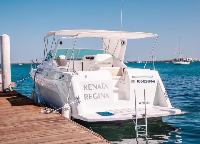 Custom Built 42 Renata Regina