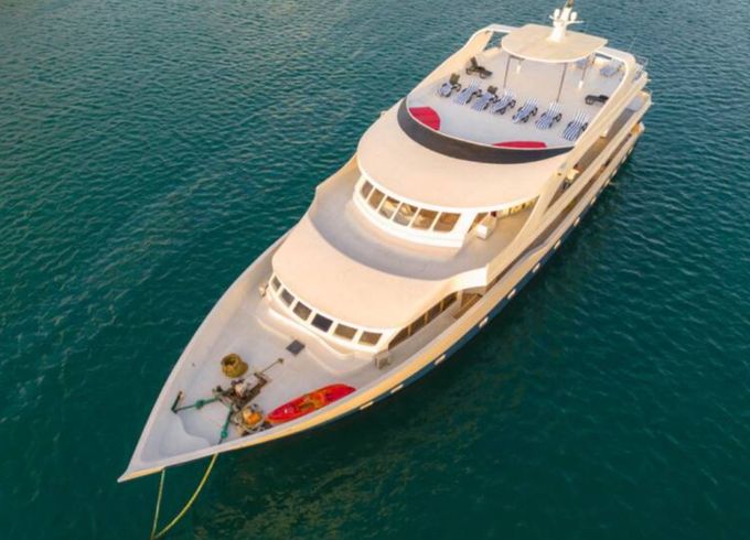 Custom Built 141 Searose 2