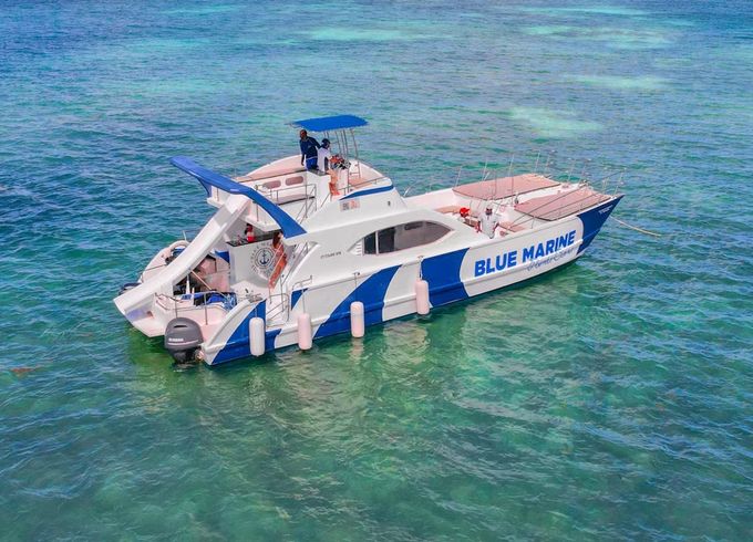 Custom Built 47 King of the Beach