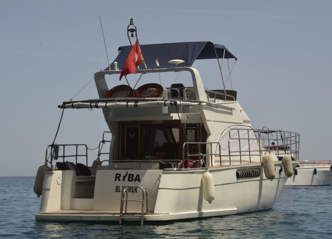 Custom Built 49 Riba