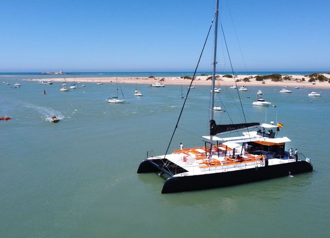 Custom Built 80 Pura Vida