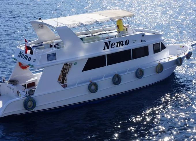 Custom Built 82 Nemo