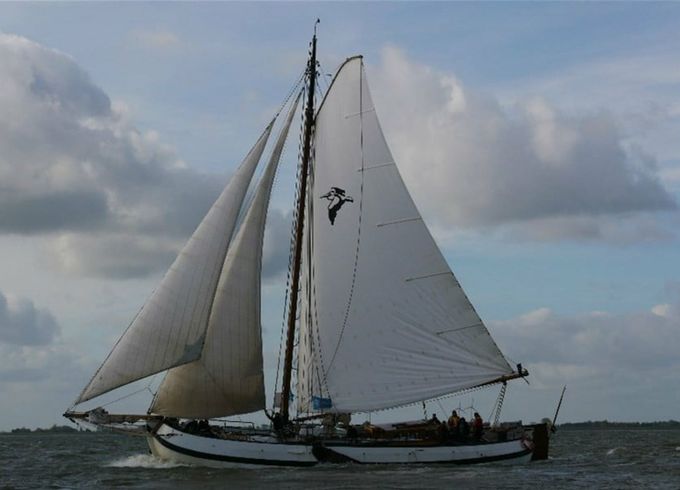 Custom Built 85 Pelikaan