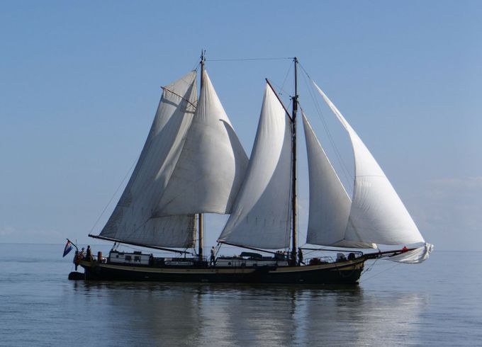 Custom Built 92 Kaat Mossel