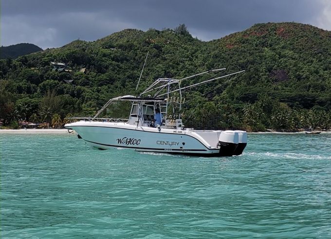 Custom Built Century 1300 Wahoo