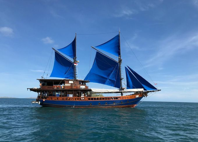 Custom Built 98 Moana
