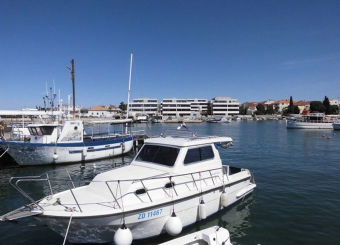 Damor 800 Zadar